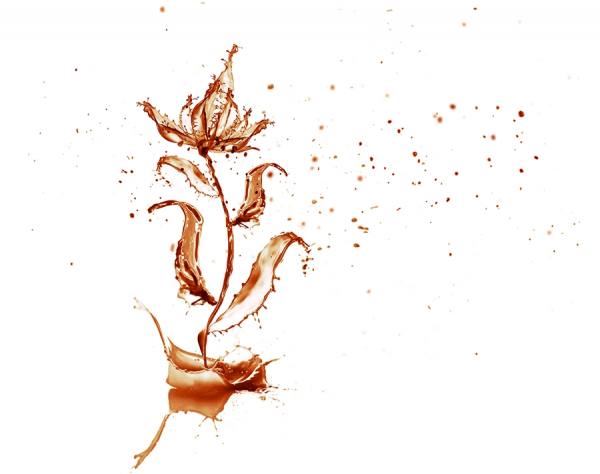 Photograph Adrian Mueller Liquid Flower on One Eyeland